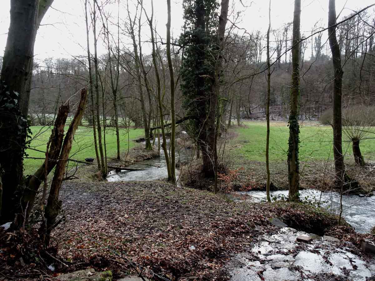 Rundwanderweg Neandertal 4
