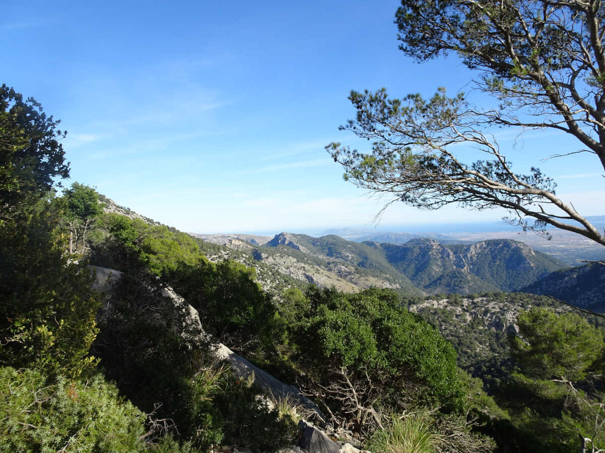 Puig de N'Ali Ausblick auf dem Weg zum Gipfel