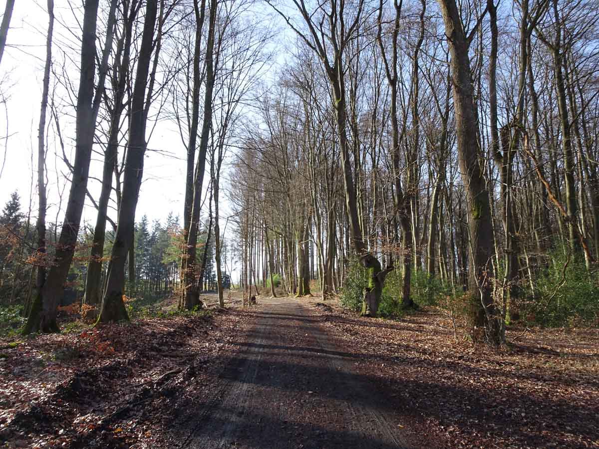 Rundwanderweg Wahnbachtalsperre 3