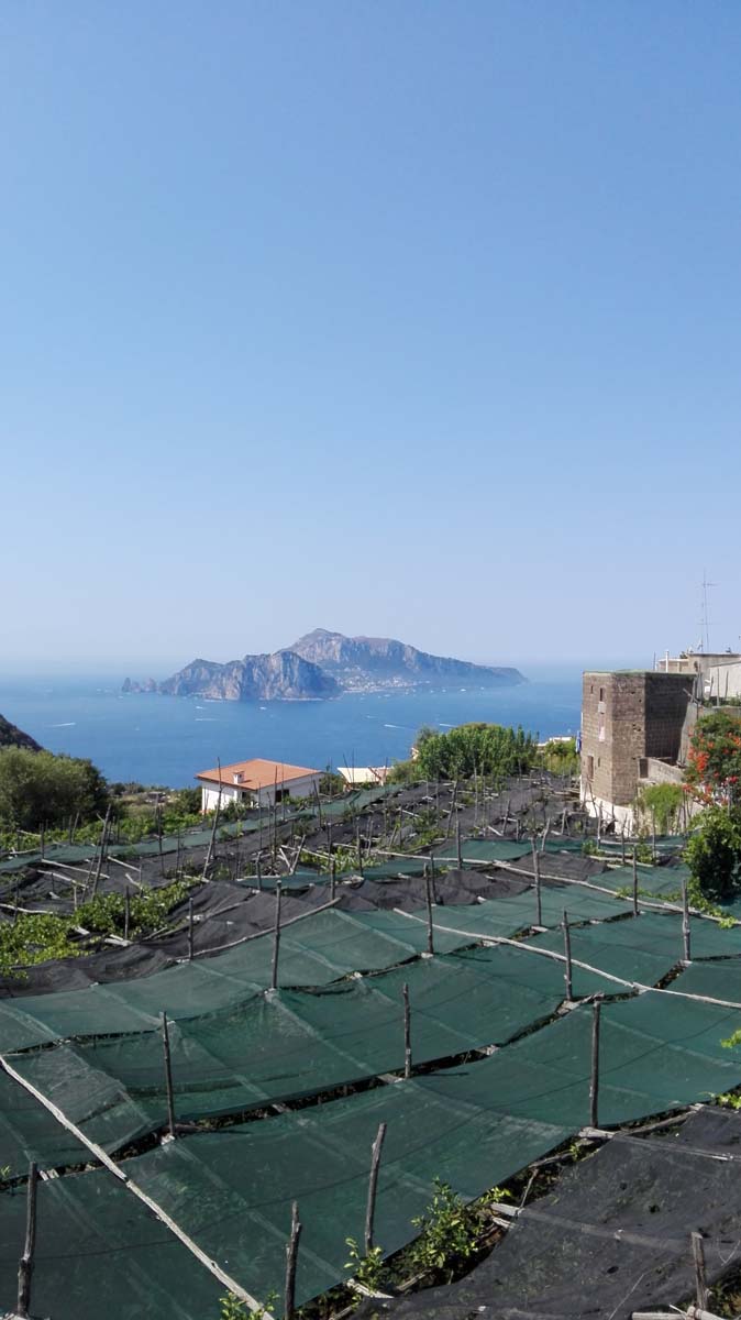 Mit dem Fahrrad an der Amalfi Küste