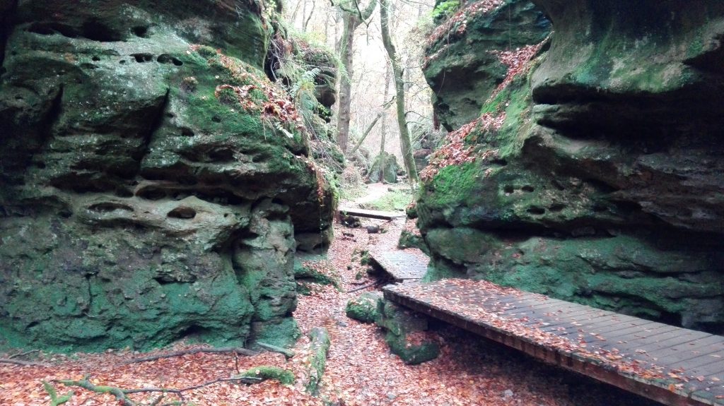 Mullerthal Trail wandern