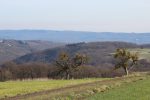 Eifel