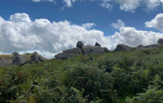 Das Dartmoor: Wandern zwischen Ponys und Schauergeschichten 1