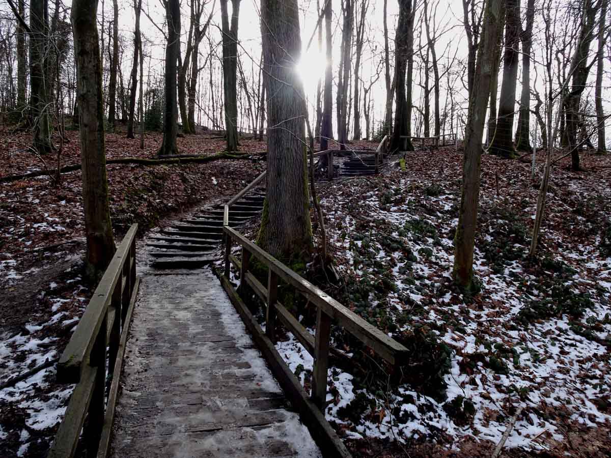 Rundwanderweg Neandertal 6