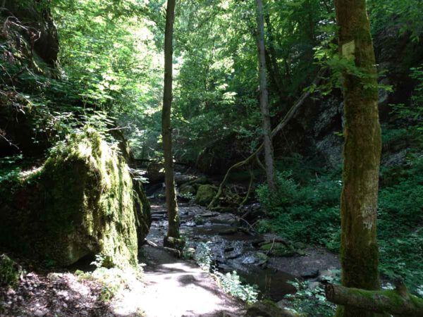 Wandertipp Ehrbachklamm 2