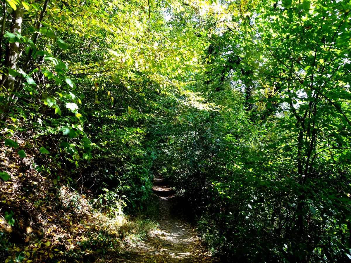 Der Höhlenweg bei Engelskirchen 1