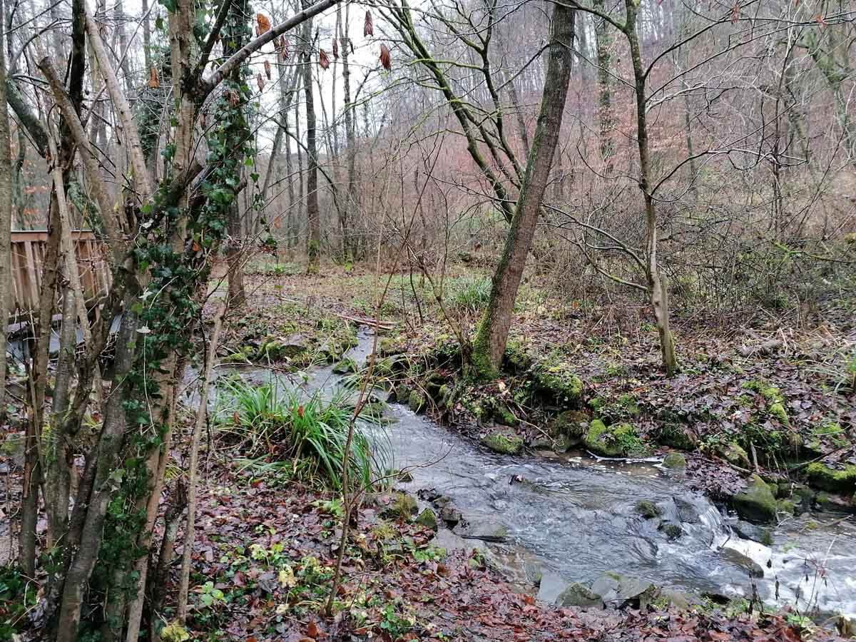 Rundwanderweg Papiermühle Alte Dombach 1