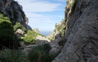 Wandern auf Mallorca:  Die Schlucht Torrent de Mortitx 4