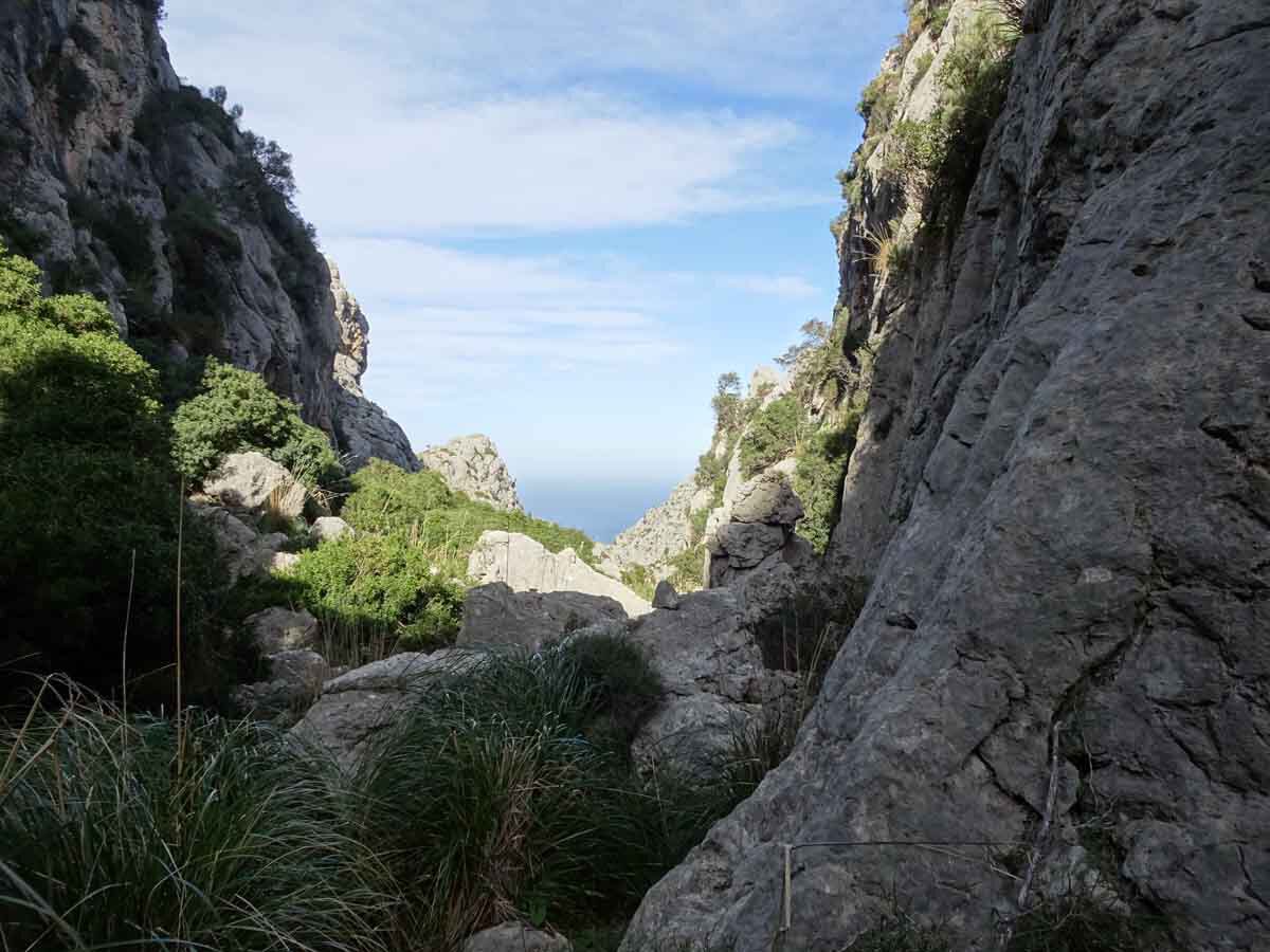 Wandern auf Mallorca:  Die Schlucht Torrent de Mortitx 1