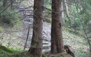  Über den Wasserfallweg zur Alpspitz 1