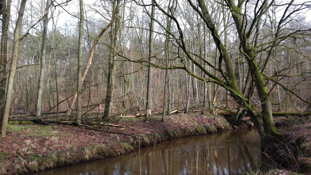 Wanderweg Het Leudal 4